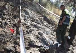 Miguel, agente de la Brida, en un foco del incendio de agosto en El Valle.