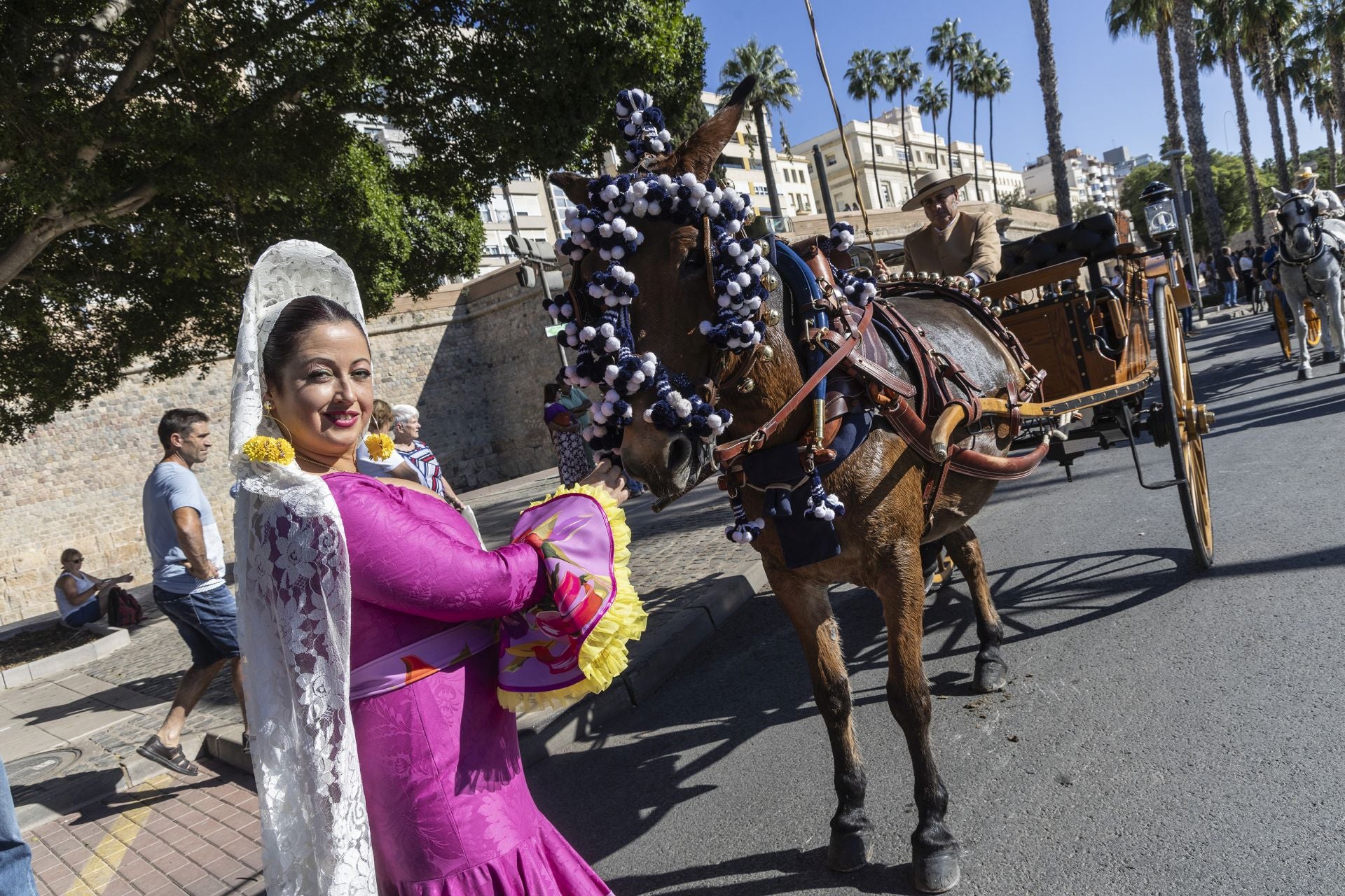 Los carruajes exhiben su encanto por Cartagena