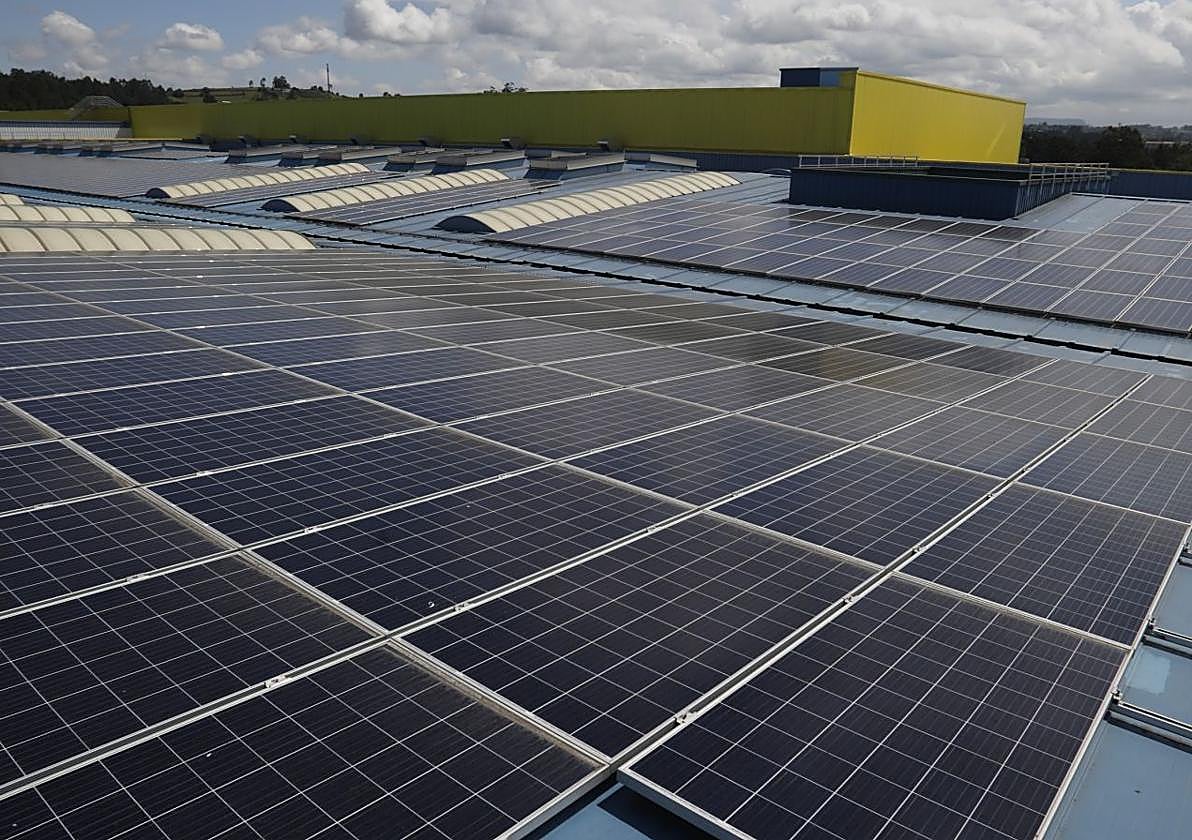 Instalación de paneles solares en la cubierta de la empresa.
