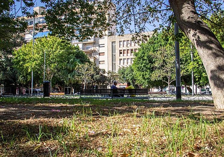 Los parterres han perdido casi todo el césped por la falta de riego.