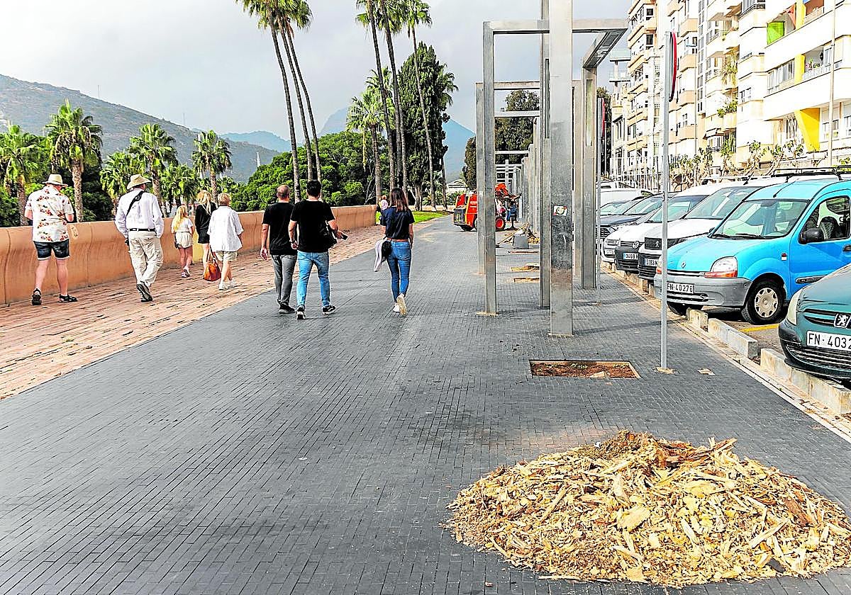 Un grupo de personas por la calle Muralla del Mar donde han sido talados y destoconados varios árboles.