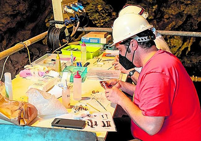 Dos paleontólogos analizan en el laboratorio varias piezas.