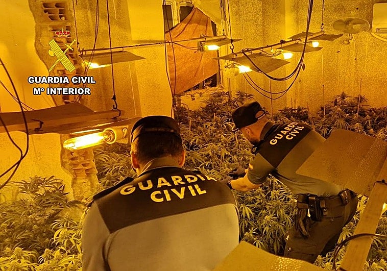 Agentes de la Benemérita registrando el invernadero.