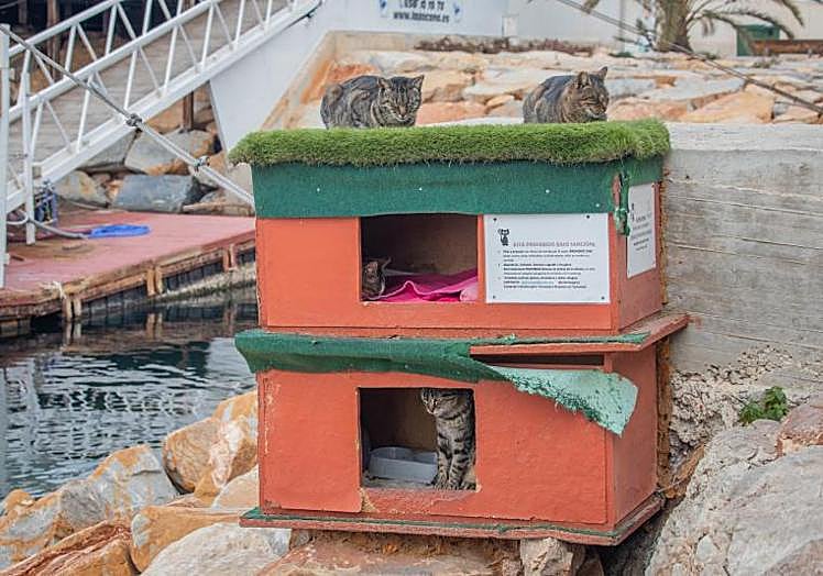 Casetas instaladas en las colonias del dique de Levante.