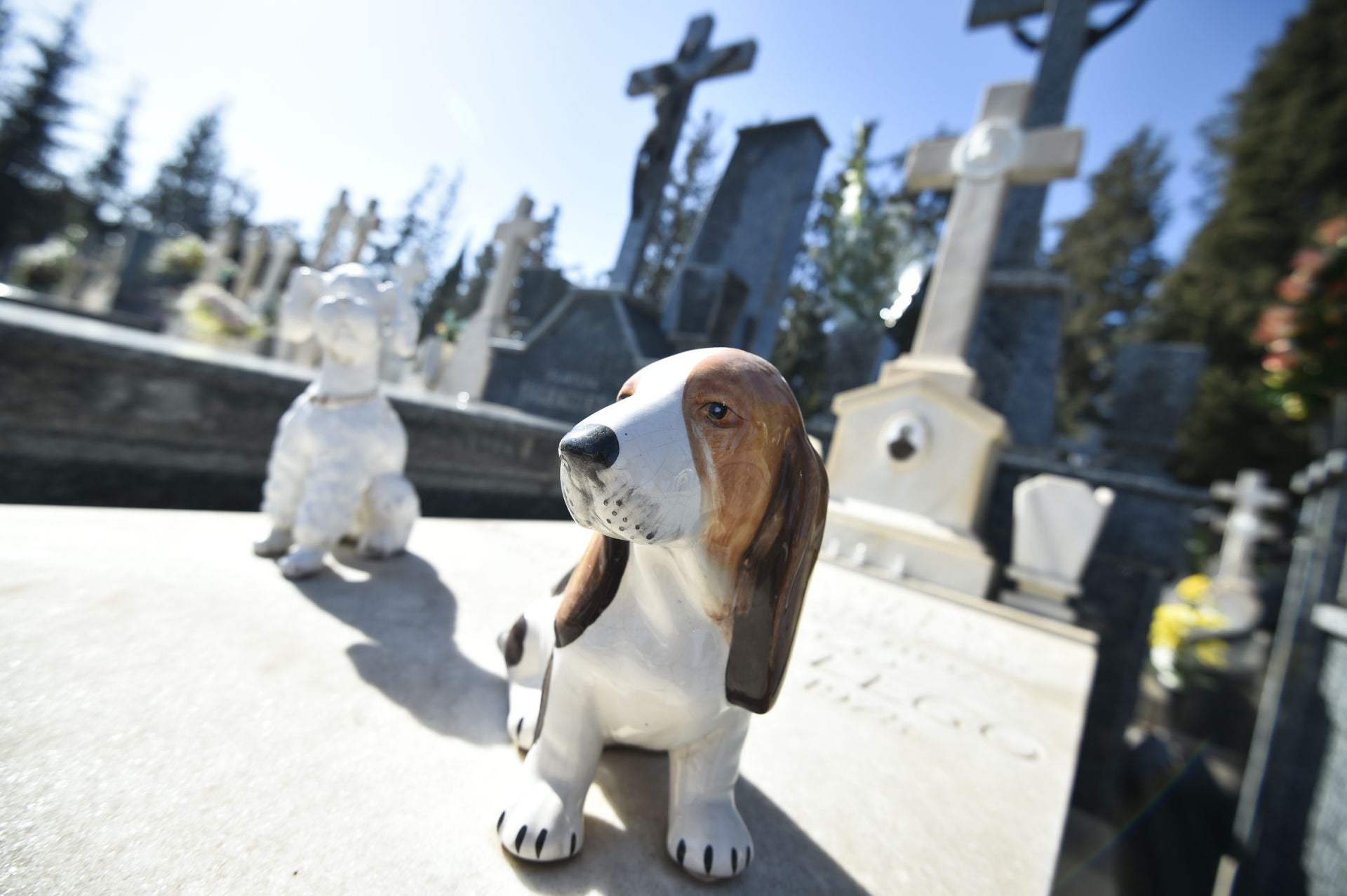 Las imágenes del Día de Todos los Santos en los cementerios de Murcia