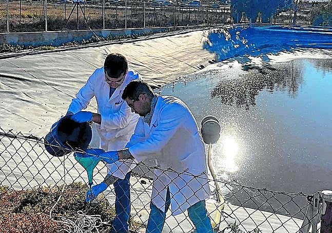 Dos investigadores toman muestras en una balsa de purines para el proyecto.