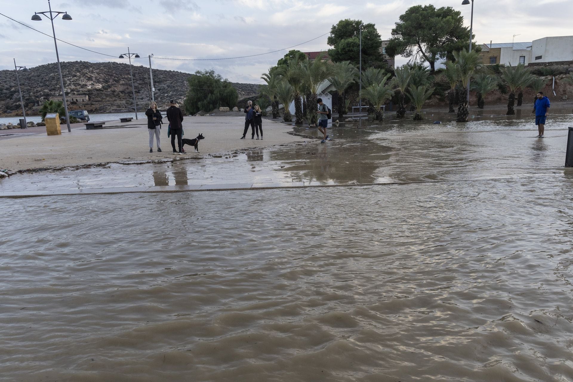 En imágenes | Mazarrón se lleva la peor parte de la alerta naranja por lluvia