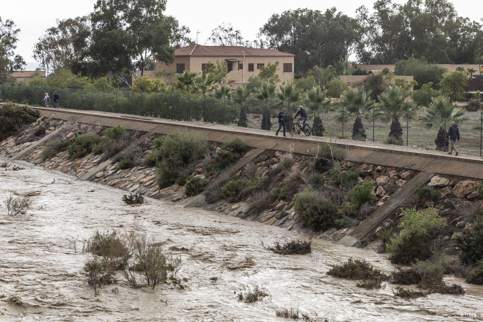 En imágenes | Mazarrón se lleva la peor parte de la alerta naranja por lluvia