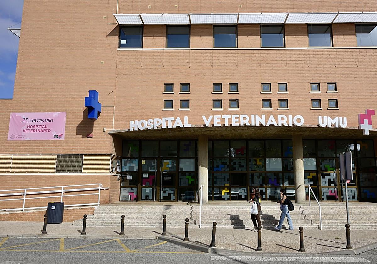 Acto conmemorativo del XXV aniversario del Hospital Clínico Veterinario de la UMU, en imágenes