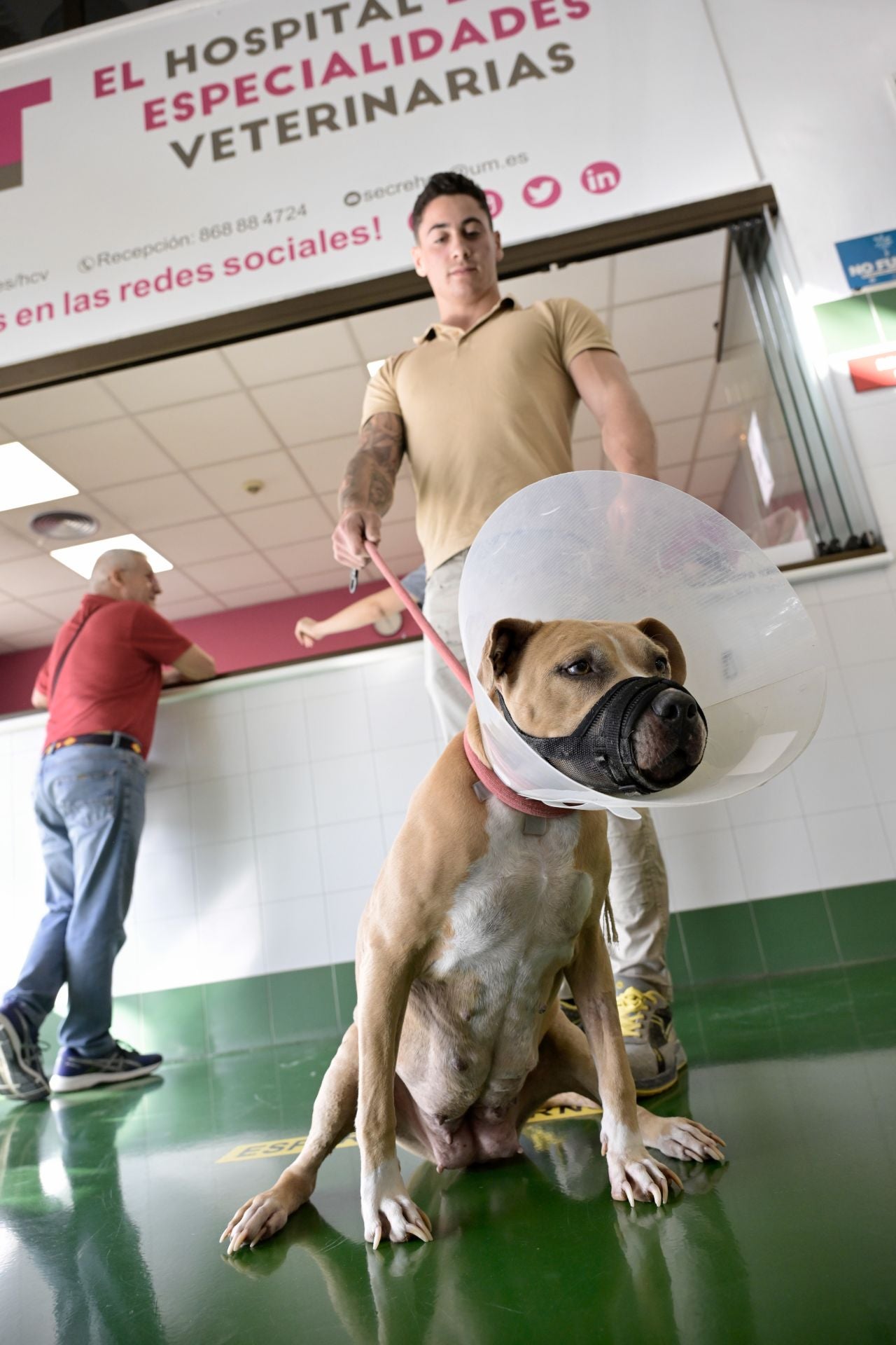 Acto conmemorativo del XXV aniversario del Hospital Clínico Veterinario de la UMU, en imágenes