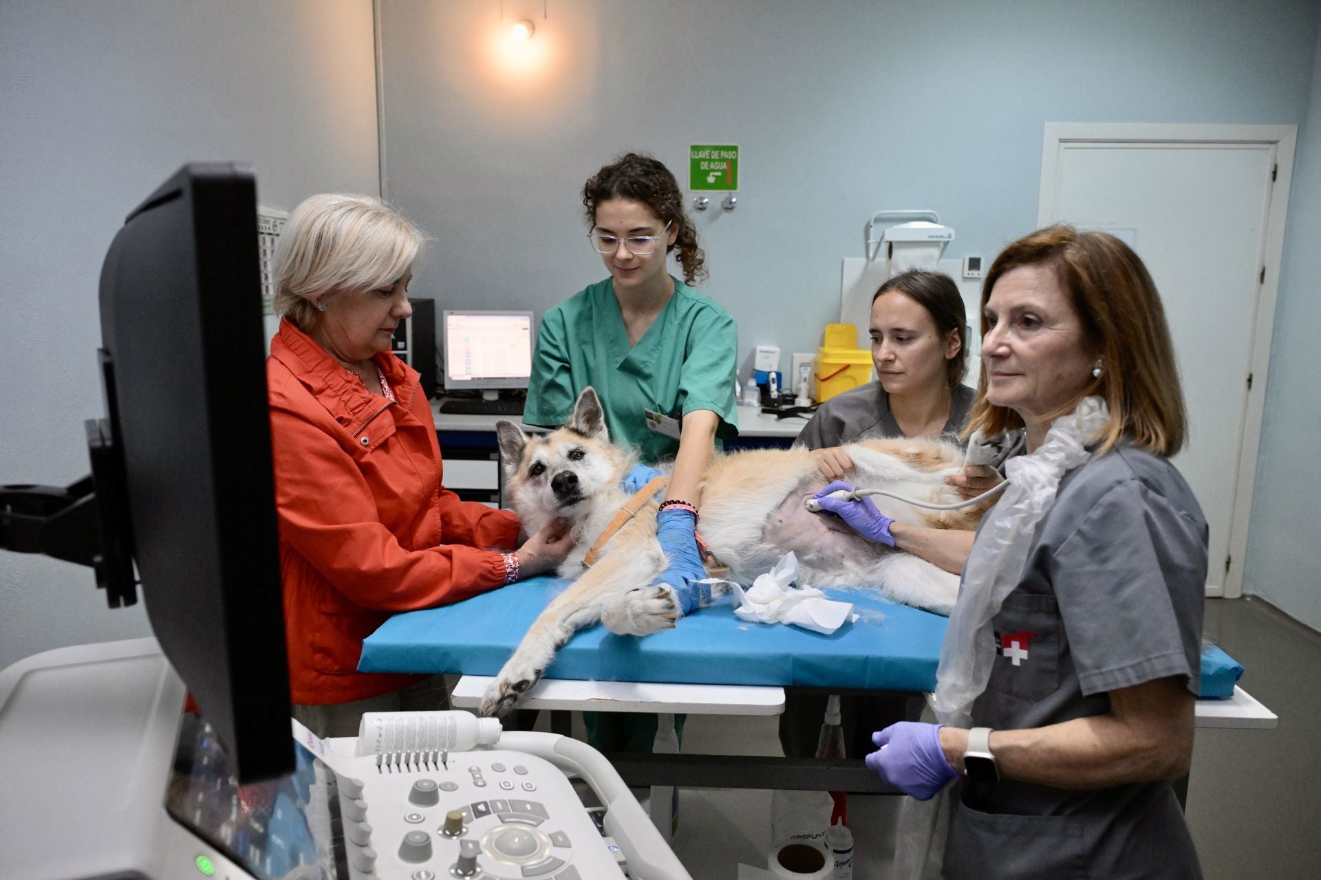 Acto conmemorativo del XXV aniversario del Hospital Clínico Veterinario de la UMU, en imágenes