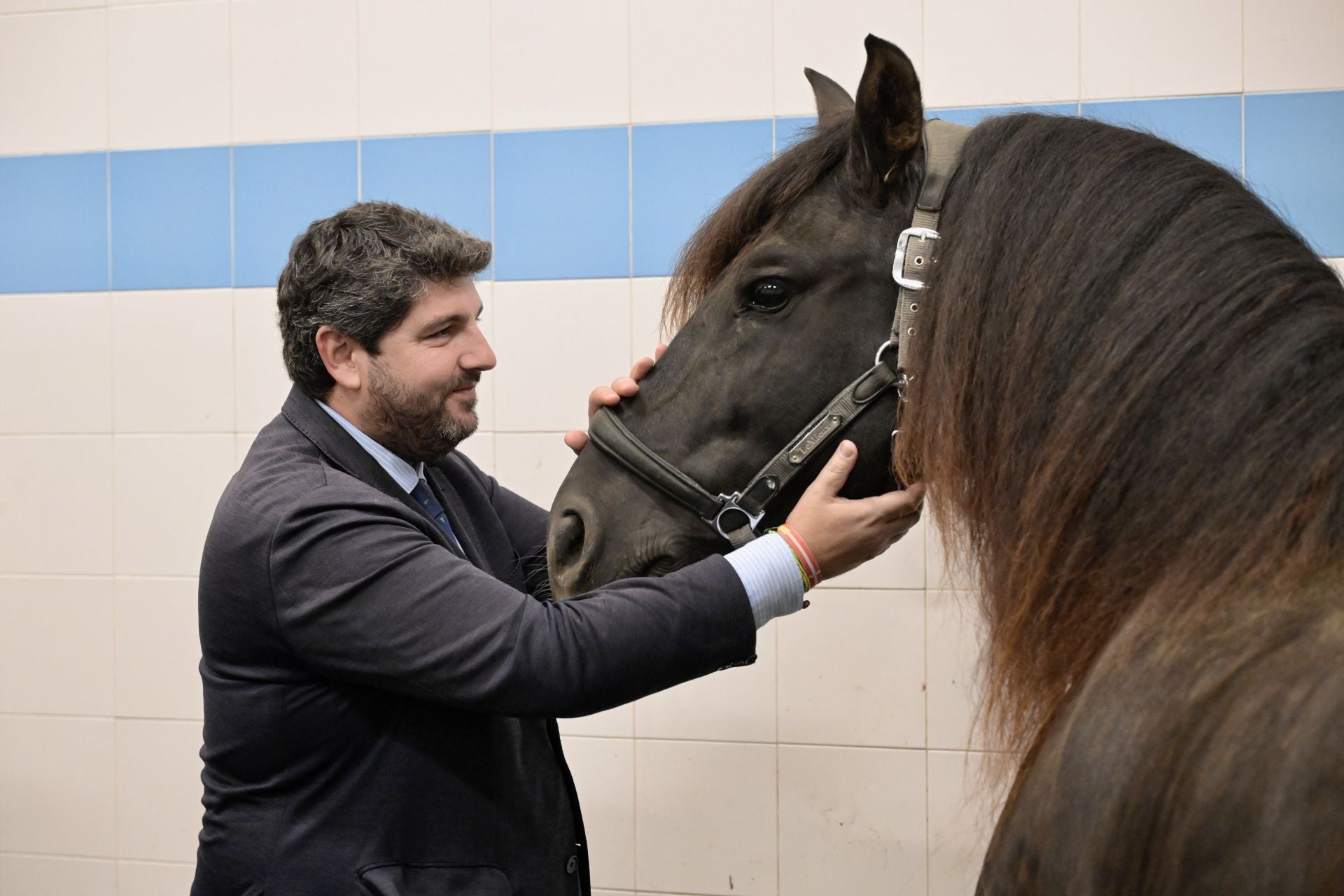 Acto conmemorativo del XXV aniversario del Hospital Clínico Veterinario de la UMU, en imágenes