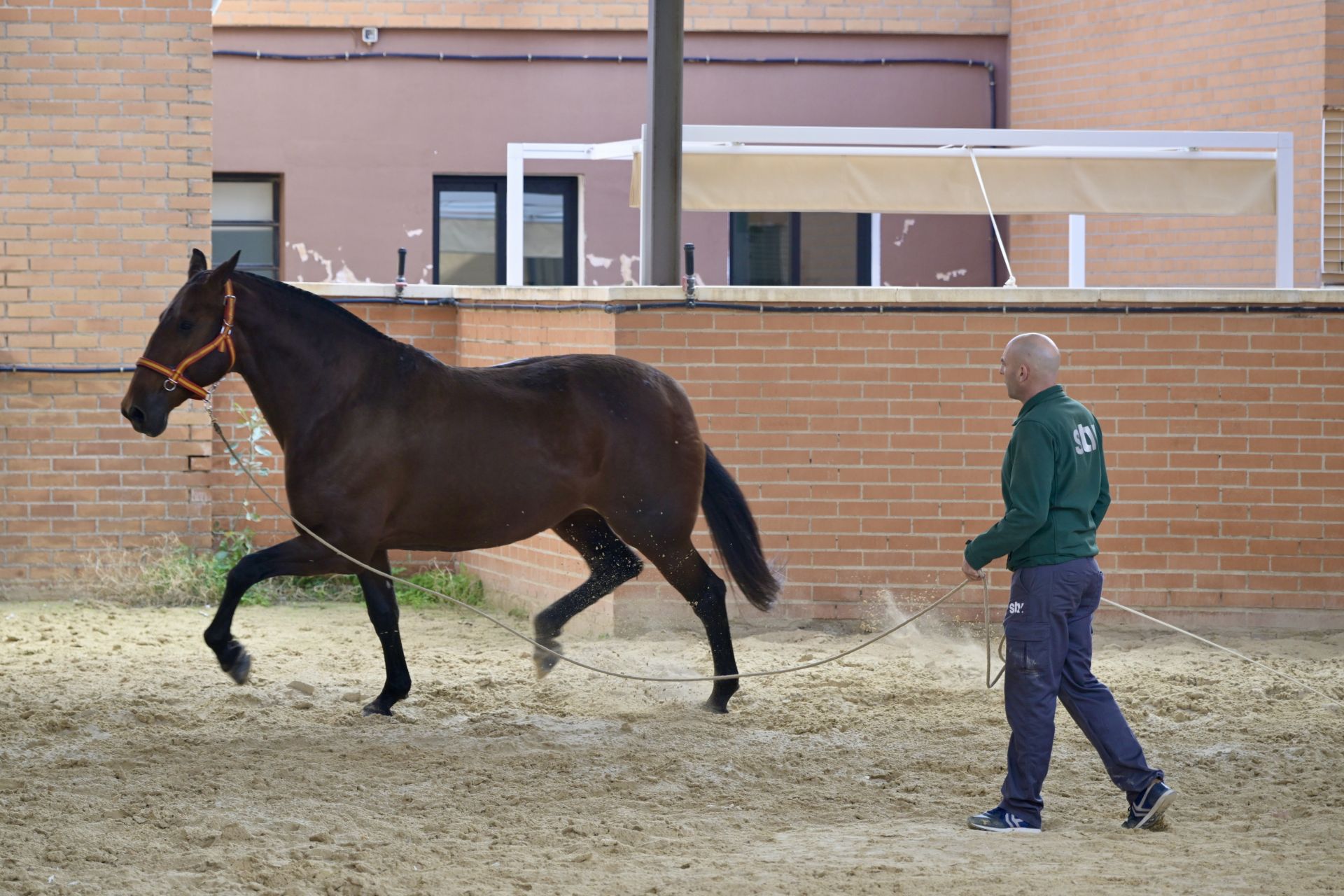 Acto conmemorativo del XXV aniversario del Hospital Clínico Veterinario de la UMU, en imágenes