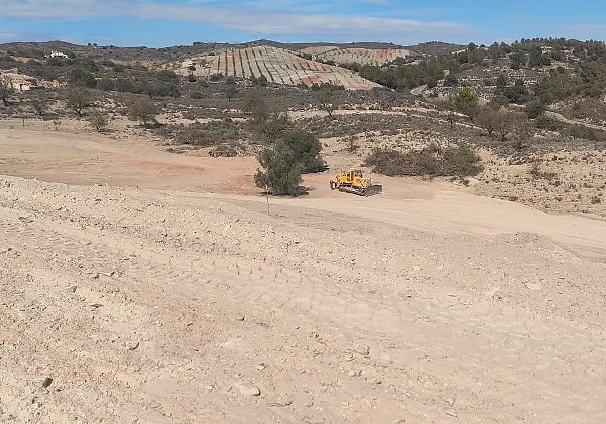 Un tractor avanza en la preparación de los terrenos para la construcción de un cebadero en la zona.
