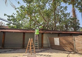Un par de obreros se afanan en las tareas de desmontaje de los puestos afectados por las obras del colector de pluviales.