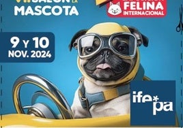 Amplia y diversa muestra de gatos y perros en Ifepa