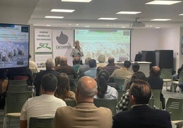 Evangelina Rodero durante su ponencia en la jornada inaugural.