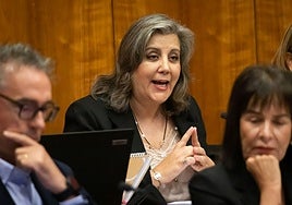 La concejal de Familia, Carmen Portugal, durante el pleno de este miércoles.