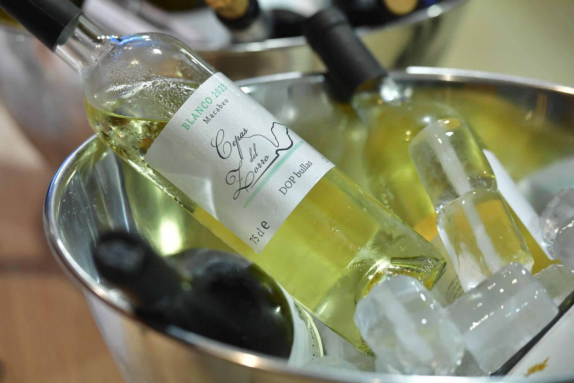 Cata geo-sensorial de vinos de la DOP Bullas en Región de Murcia Gastronómica