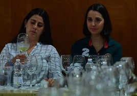 Cata geo-sensorial de vinos de la DOP Bullas en Región de Murcia Gastronómica