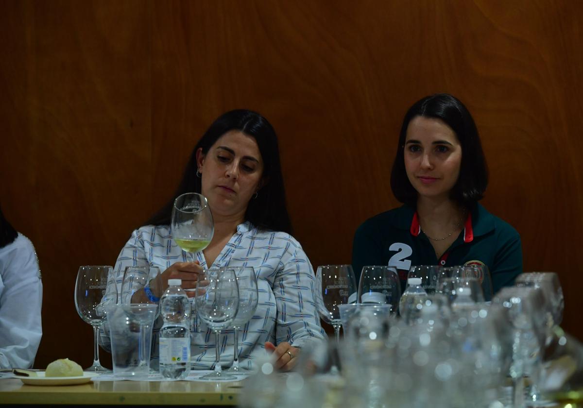 Cata geo-sensorial de vinos de la DOP Bullas en Región de Murcia Gastronómica