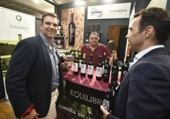 Vinos de Jumilla y Requena