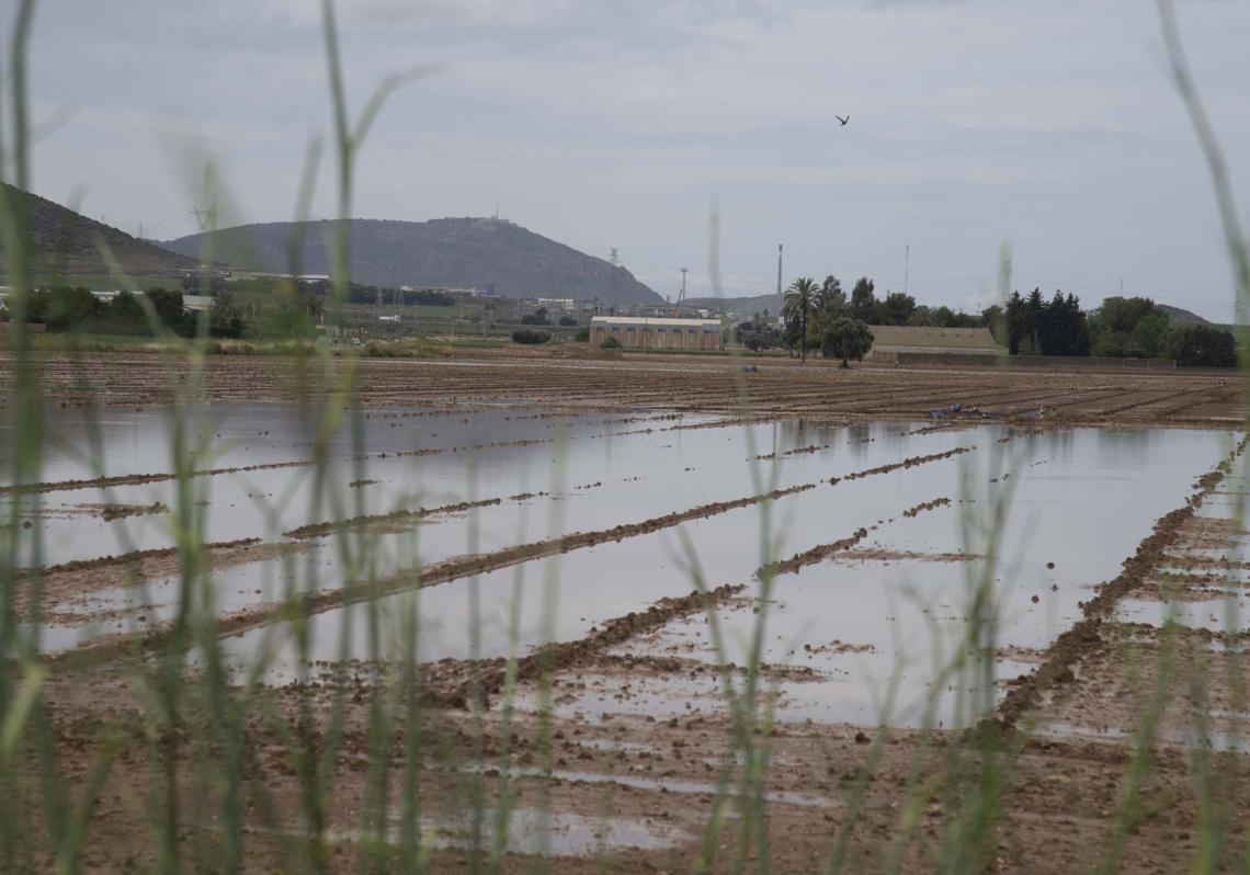 Inundaciones en un cultivo de Cartagena, en una imagen de archivo.