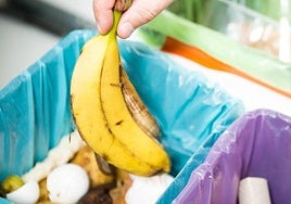 Una cáscara de plátano.