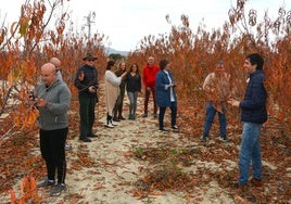 Un grupo de personas visitan la estampa otoñal de los árboles de Cieza.