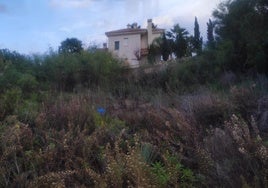 Vegetación acumulada en una parcela de La Manga, junto a una vivienda.