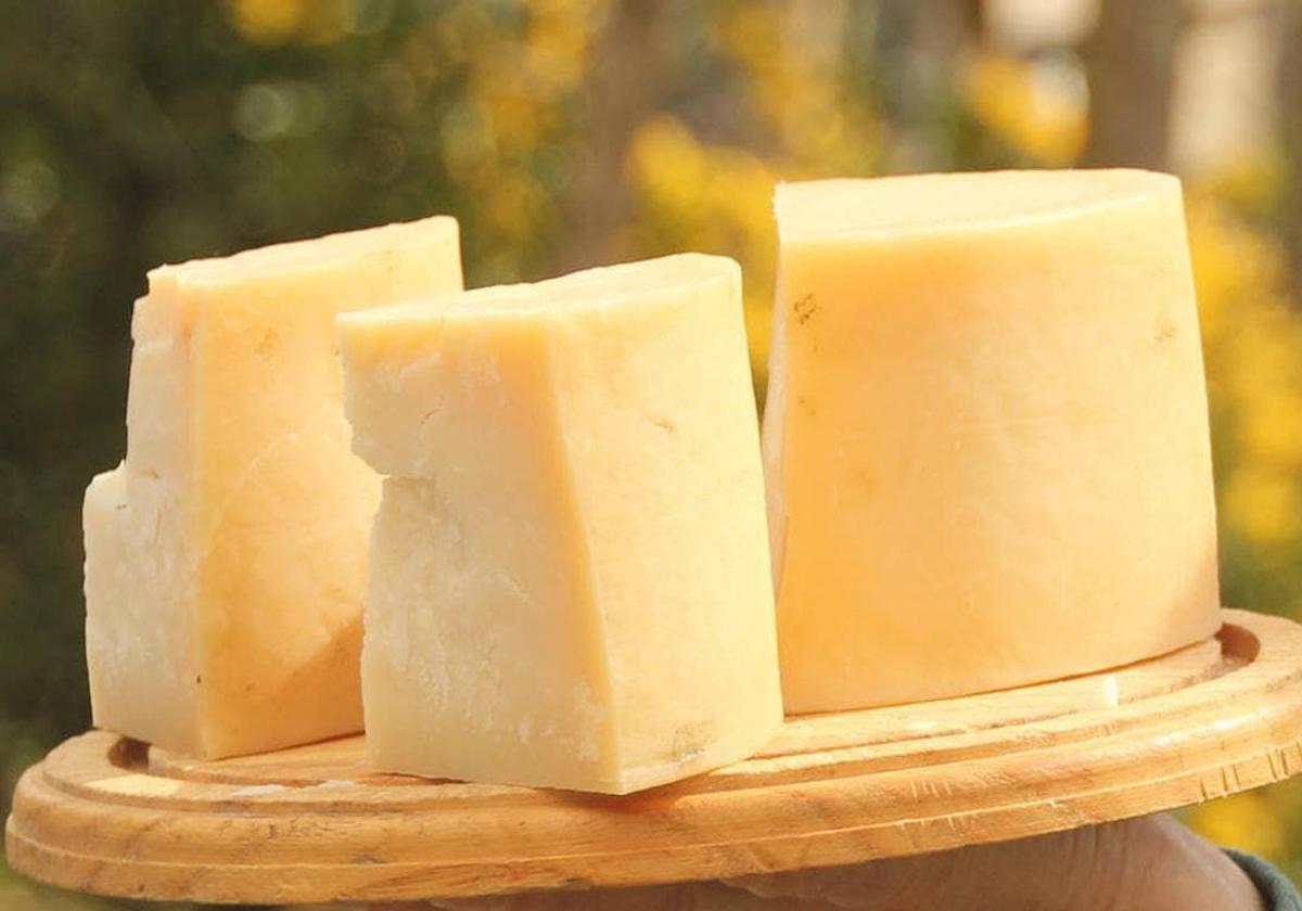 Imagen de archivo de varios trozos de queso