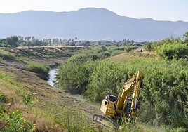 Trabajos de desbroce de la CHS en el cauce del Segura, junto a la desembocadura del Reguerón.