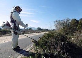 Un operario realiza labores de desbroce junto al carril bici.