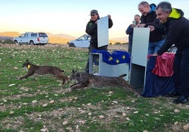 El consejero Juan María Vázquez, junto al rector de la UPCT, Mathieu Kessler, durante la suelta de los dos linces ibéricos en las inmediaciones de La Parroquia (Lorca).