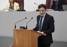 El consejero de Fomento, este viernes, en la Asamblea Regional.