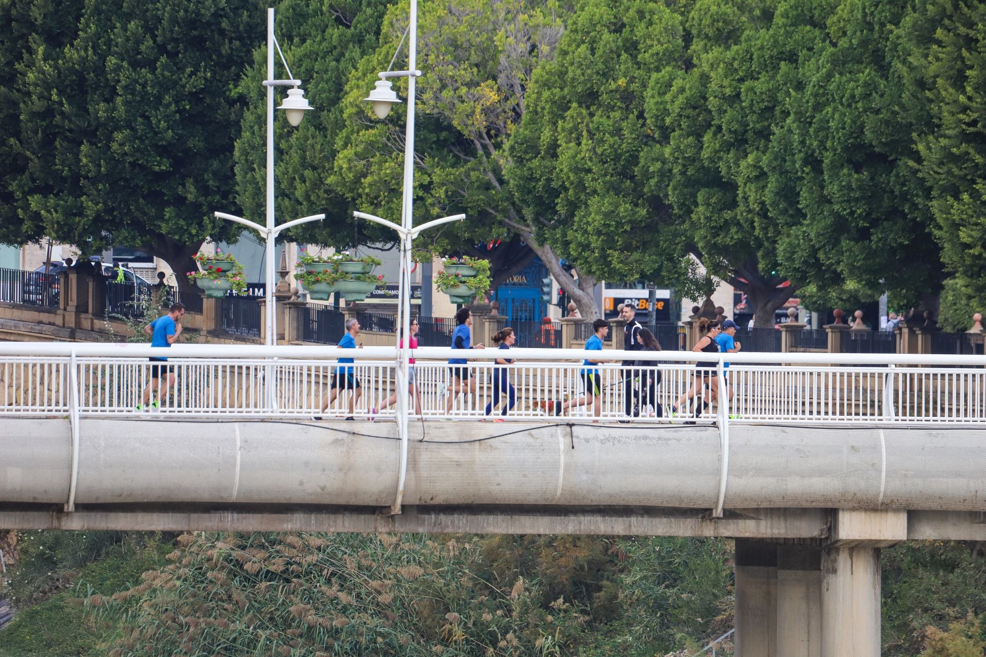 La carrera solidaria &#039;Muévete X Valencia&#039;, en imágenes (I)