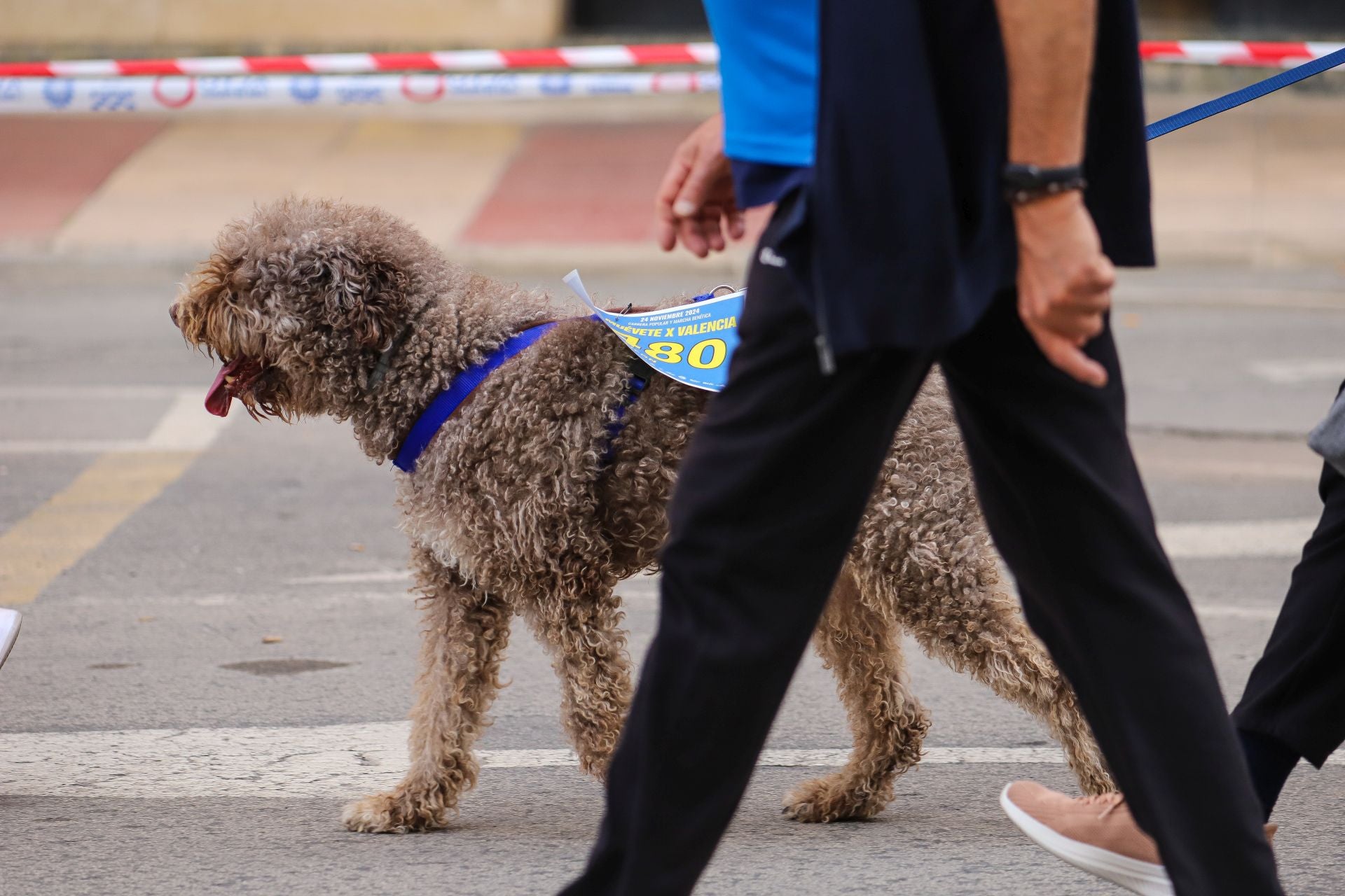 La carrera solidaria &#039;Muévete X Valencia&#039;, en imágenes (I)
