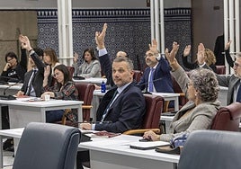 Votación en la Asamblea Regional, este martes por la tarde.