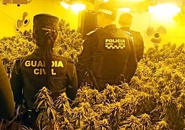 Agentes de la Guardia Civil y la Policía Local de Mula durante el registro de la vivienda.