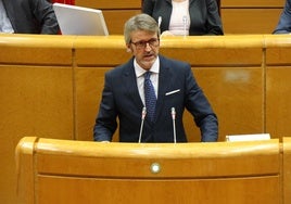 El consejero Luis Alberto Marín, durante su intervención en el Senado.