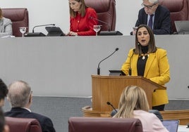 Sara Rubira, durante su intervención en la Asamblea.