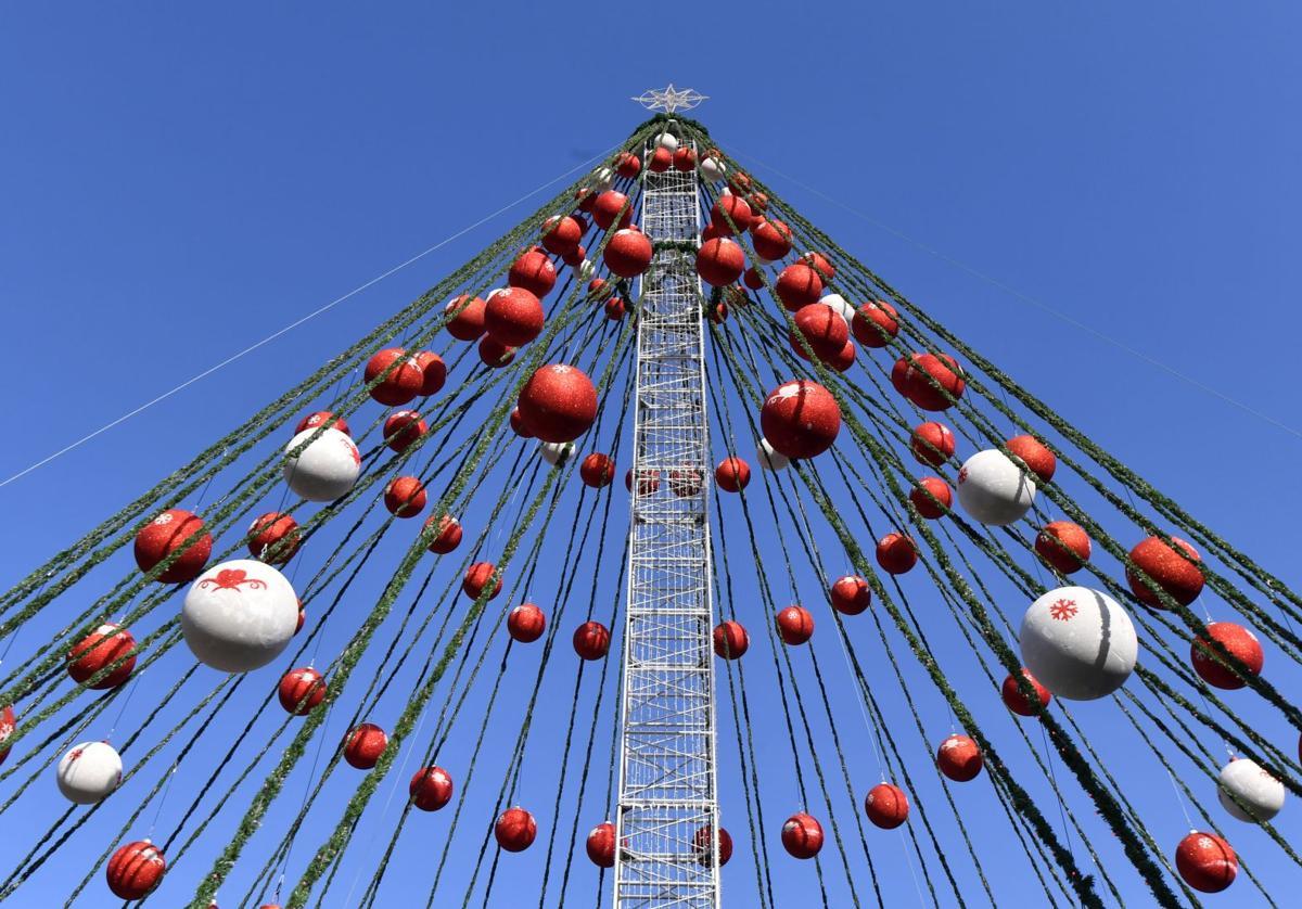 El gran árbol de Navidad, ya instalado en la Plaza Circular.