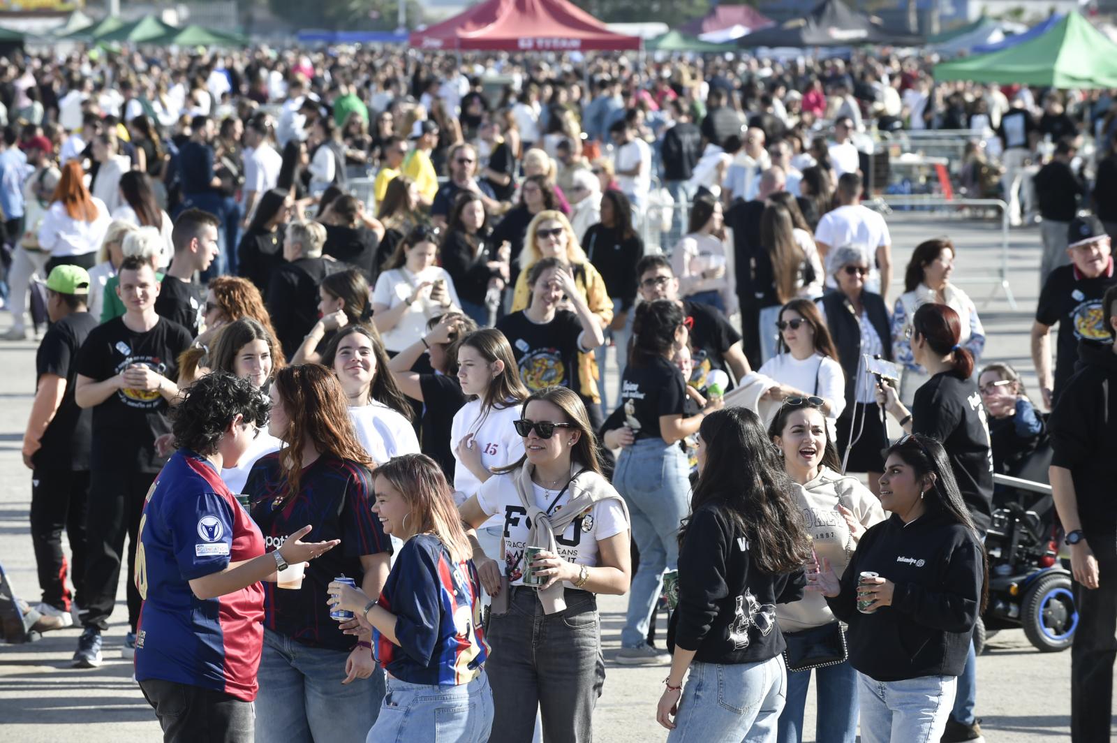 Las imágenes del concurso de paellas de las fiestas de la Purísima en Torrevieja