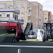 Retirada del viejo césped sintético, ayer en Ciudad Jardín.