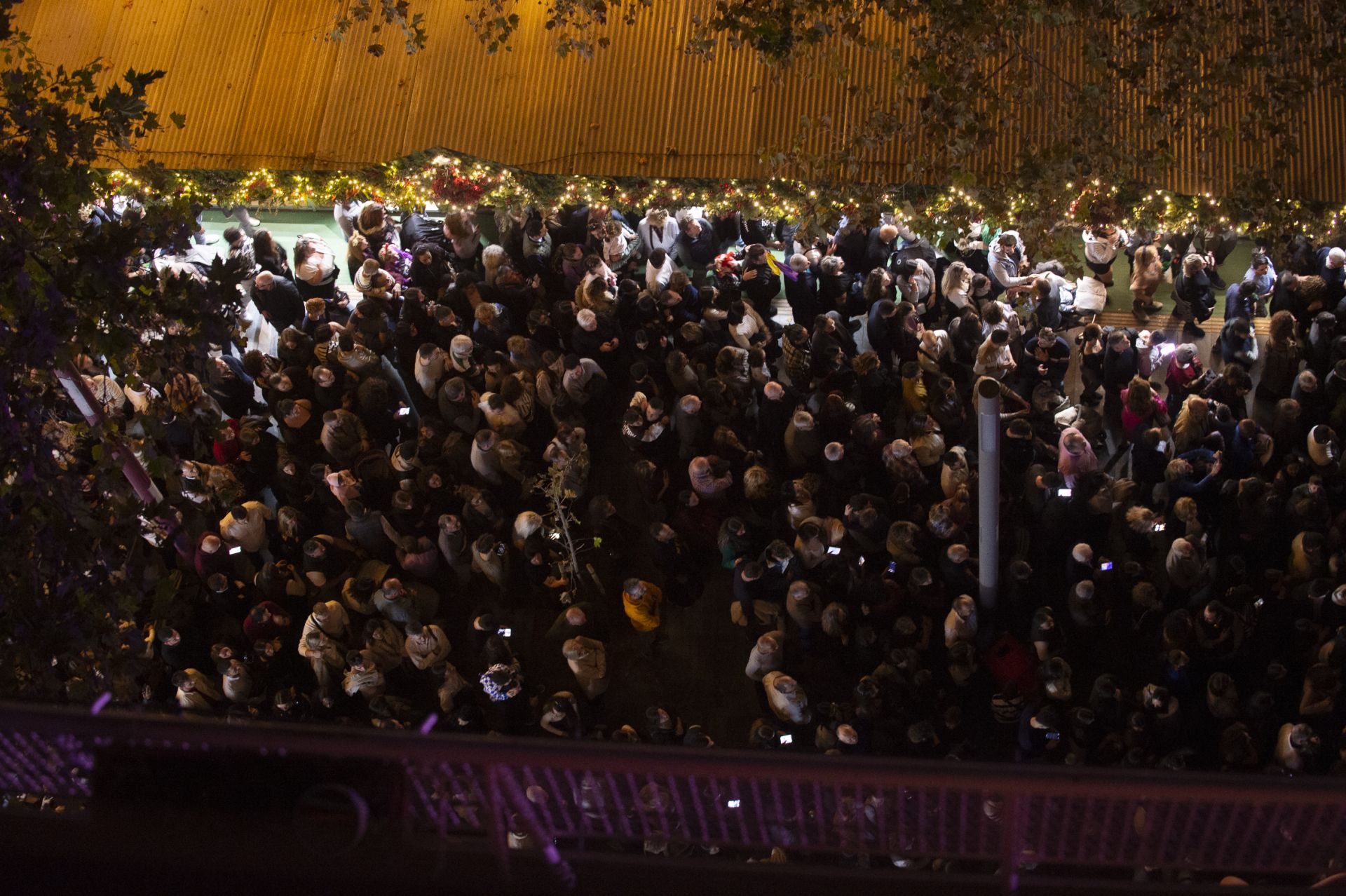 El encendido del Gran Árbol de Navidad de Murcia, en imágenes