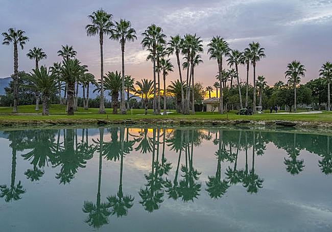Panorámica del campo malagueño.