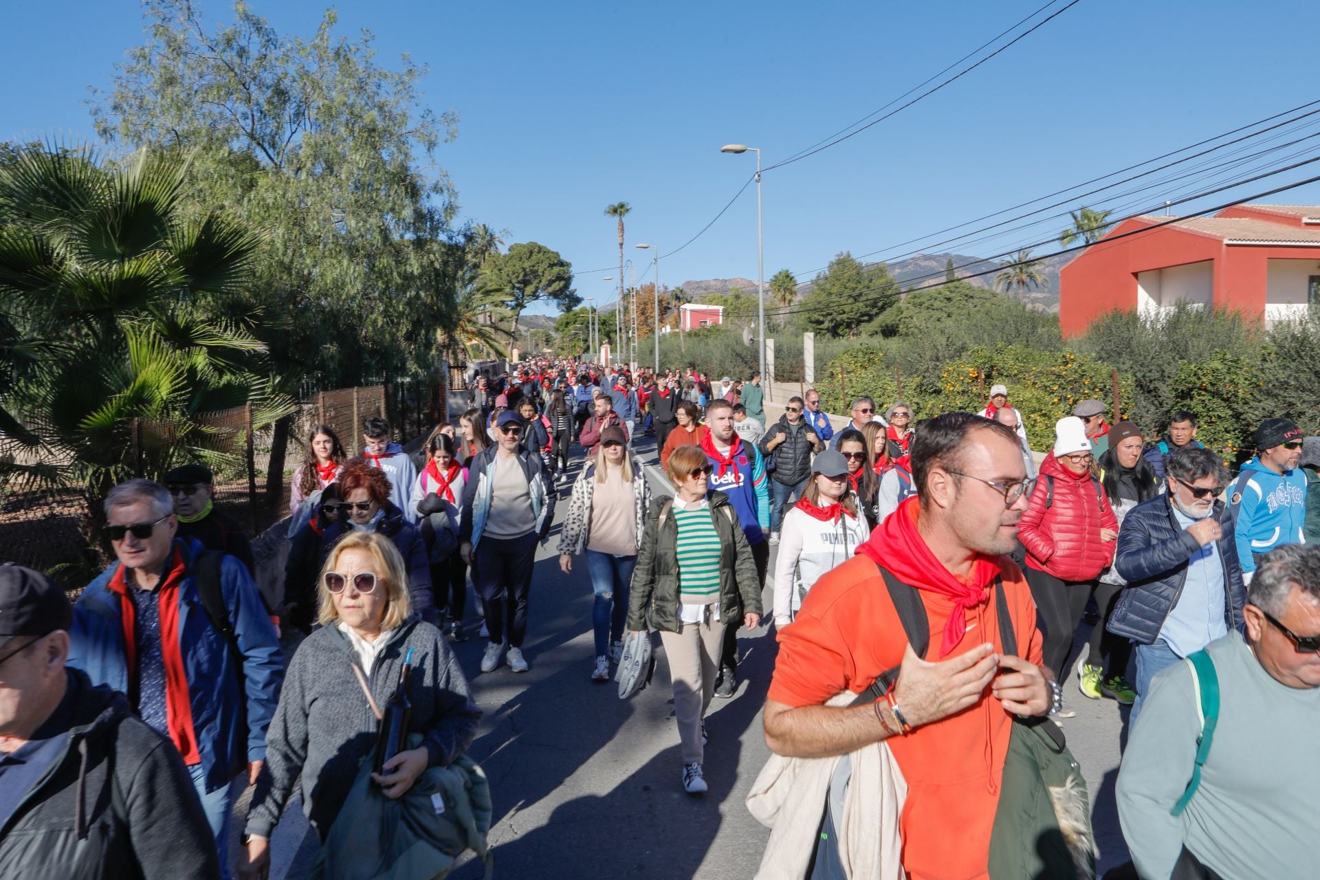 Romería de Santa Eulalia de Mérida en Totana, en imágenes