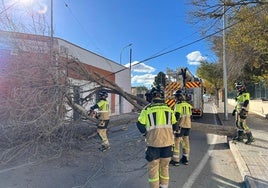 Bomberos retiran la rama en Yecla.