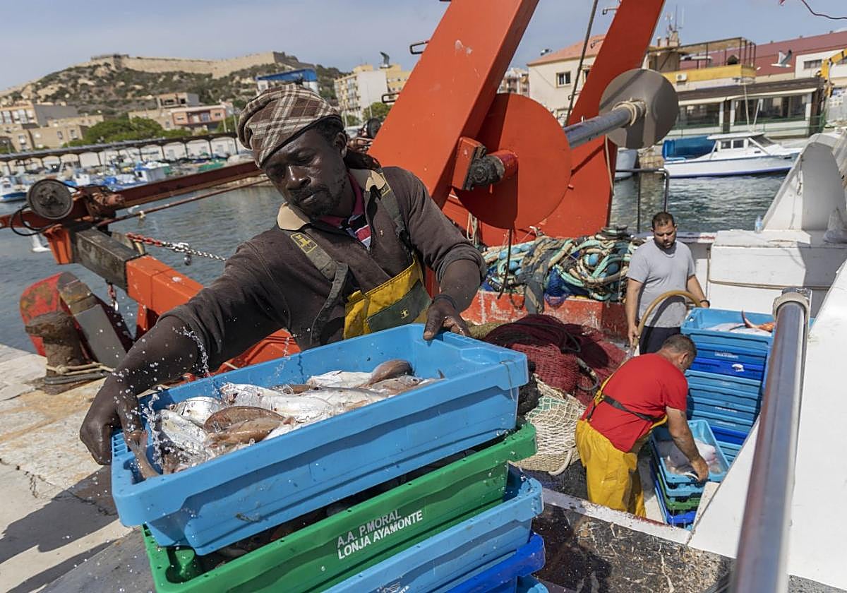 Varios pescadores sacan las capturas de un arrastrero en el muelle de Santa Lucía, en Cartagena.