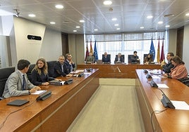 Reunión de la Comisión de Asuntos Generales de la Asamblea con Dionisio García Piqueras junto al presidente de la comisión, Miguel Ángel Miralles, del PP